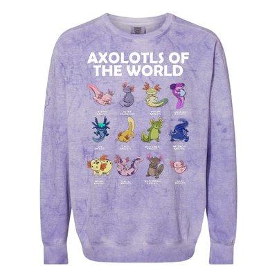 Axolotls Of The World Colorblast Crewneck Sweatshirt