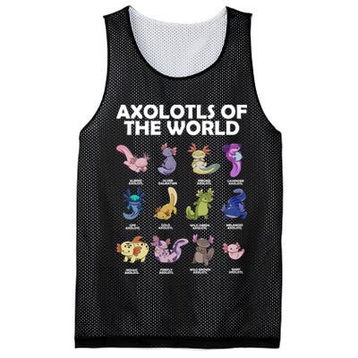 Axolotls Of The World Mesh Reversible Basketball Jersey Tank