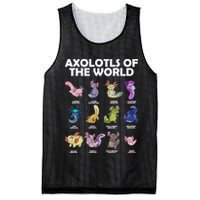 Axolotls Of The World Mesh Reversible Basketball Jersey Tank
