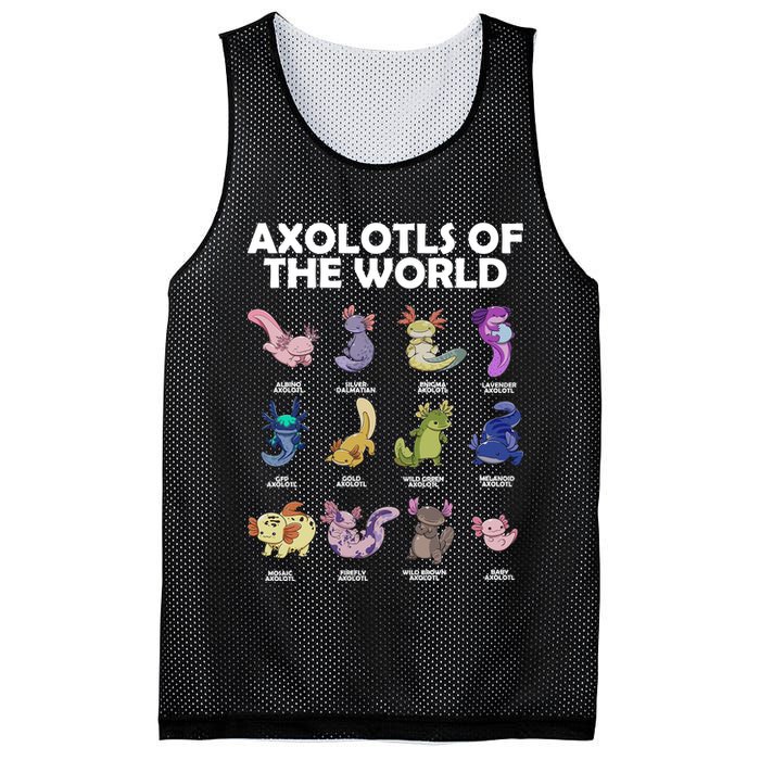 Axolotls Of The World Mesh Reversible Basketball Jersey Tank