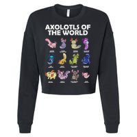 Axolotls Of The World Cropped Pullover Crew