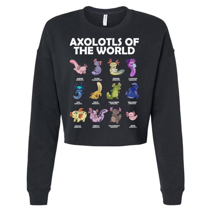 Axolotls Of The World Cropped Pullover Crew