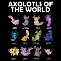 Axolotls Of The World Kids Sweatshirt