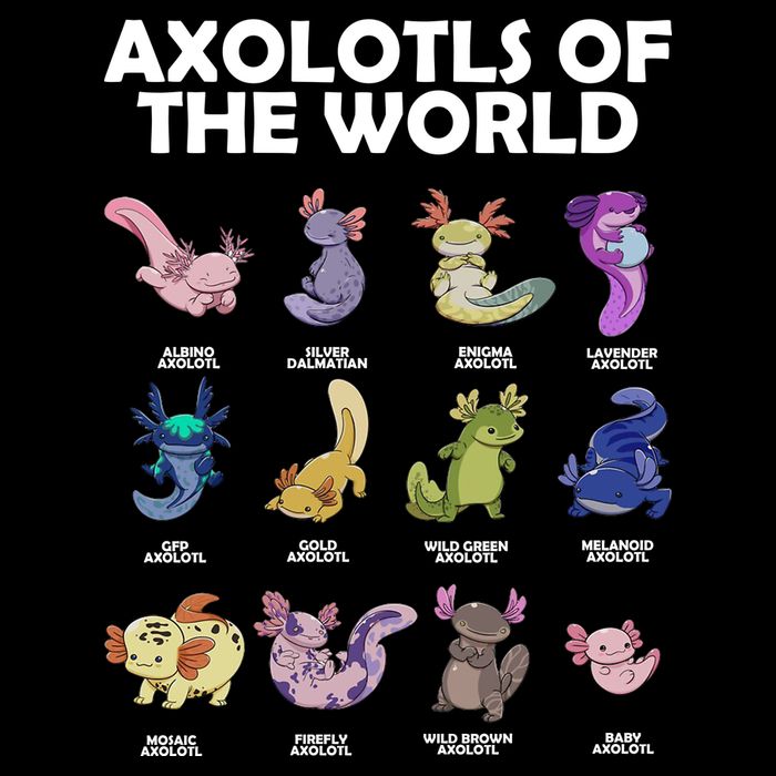Axolotls Of The World Kids Sweatshirt