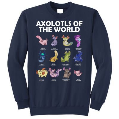 Axolotls Of The World Sweatshirt