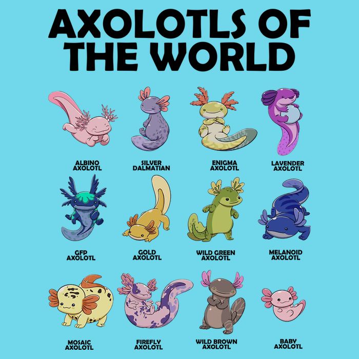 Axolotls Of The World Women's V-Neck T-Shirt
