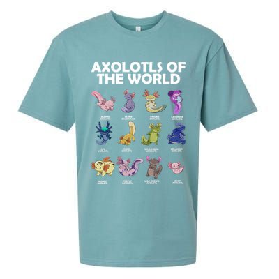 Axolotls Of The World Sueded Cloud Jersey T-Shirt