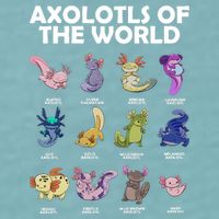 Axolotls Of The World Sueded Cloud Jersey T-Shirt