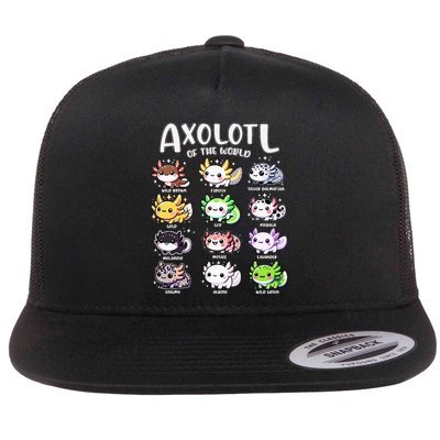 Axolotls Of The World Kawaii Types Of Axolotl Fish Amphibian Flatbill Hat