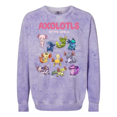 Axolotls Of The World Animals Kawaii Colorblast Crewneck Sweatshirt