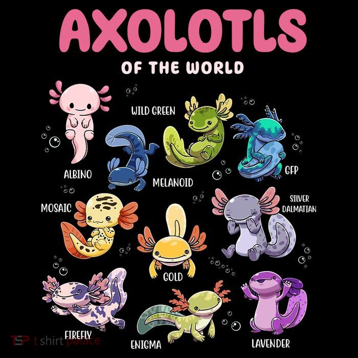 Axolotls Of The World Animals Kawaii 16 in Basic Backpack