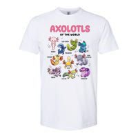 Axolotls Of The World Animals Kawaii Softstyle CVC T-Shirt