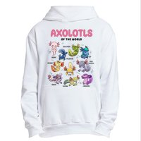 Axolotls Of The World Animals Kawaii Urban Pullover Hoodie