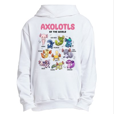 Axolotls Of The World Animals Kawaii Urban Pullover Hoodie