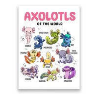 Axolotls Of The World Animals Kawaii Poster