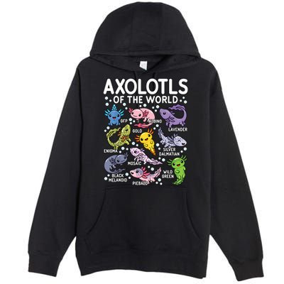 Axolotls Of The World Cute Kawaii Axolotl Premium Pullover Hoodie