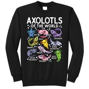 Axolotls Of The World Cute Kawaii Axolotl Tall Sweatshirt