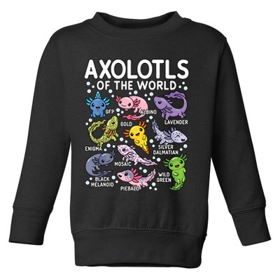 Axolotls Of The World Cute Kawaii Axolotl Toddler Sweatshirt
