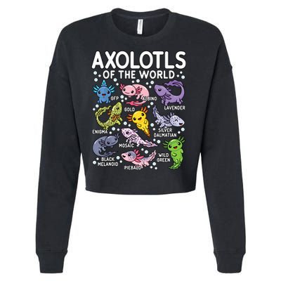 Axolotls Of The World Cute Kawaii Axolotl Cropped Pullover Crew