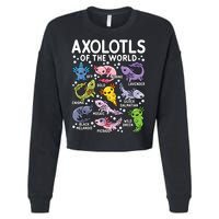 Axolotls Of The World Cute Kawaii Axolotl Cropped Pullover Crew