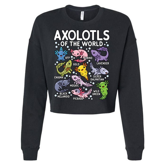 Axolotls Of The World Cute Kawaii Axolotl Cropped Pullover Crew