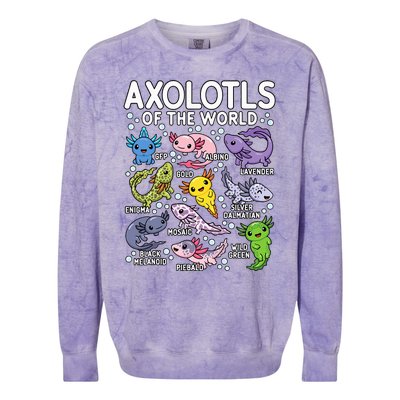 Axolotls Of The World Cute Kawaii Axolotl  Colorblast Crewneck Sweatshirt