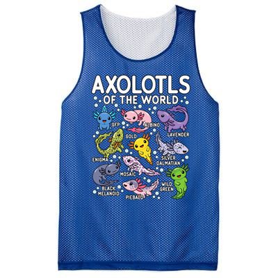 Axolotls Of The World Cute Kawaii Axolotl  Mesh Reversible Basketball Jersey Tank