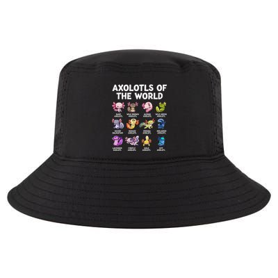 Axolotls Of The World Kawaii Types Of Axolotl Fish Amphibian Cool Comfort Performance Bucket Hat