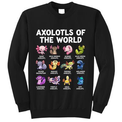 Axolotls Of The World Kawaii Types Of Axolotl Fish Amphibian Sweatshirt
