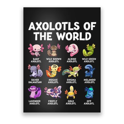 Axolotls Of The World Kawaii Types Of Axolotl Fish Amphibian Poster