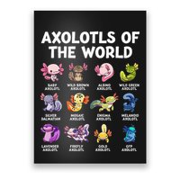 Axolotls Of The World Kawaii Types Of Axolotl Fish Amphibian Poster