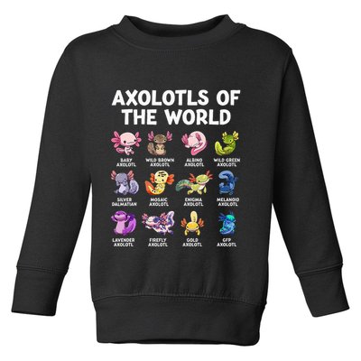 Axolotls Of The World Kawaii Types Of Axolotl Fish Amphibian Toddler Sweatshirt