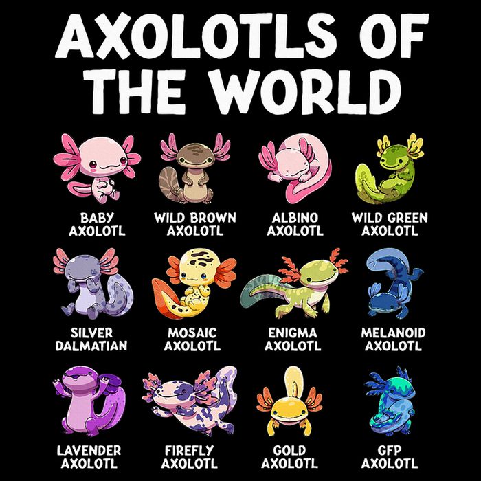 Axolotls Of The World Kawaii Types Of Axolotl Fish Amphibian Tank Top