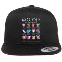 Axolotls Of The World Funny Kawaii Axolotls Girls Flat Bill Trucker Hat