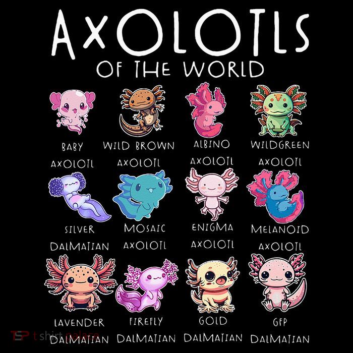 Axolotls Of The World Funny Kawaii Axolotls Girls 16 in Basic Backpack