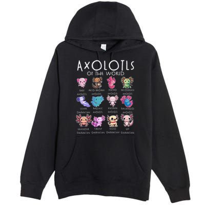 Axolotls Of The World Funny Kawaii Axolotls Girls Premium Pullover Hoodie