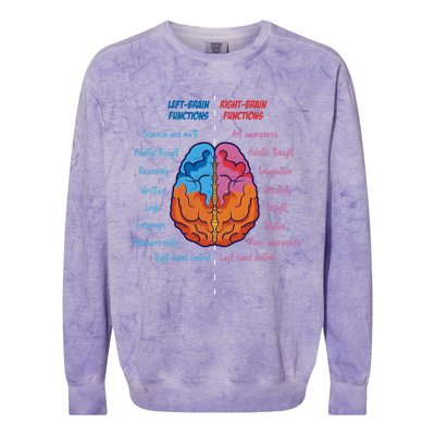 Anatomy of the brain functions brain parts psychology Colorblast Crewneck Sweatshirt