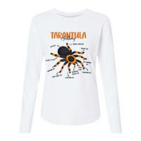 Anatomy Of Tarantula Spider Arthropod Arachnid Arachnophile Womens Cotton Relaxed Long Sleeve T-Shirt