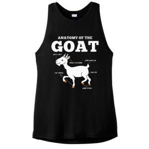 Anatomy Of The Goat Ladies PosiCharge Tri-Blend Wicking Tank