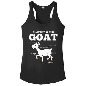 Anatomy Of The Goat Ladies PosiCharge Competitor Racerback Tank