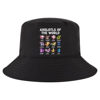 Axolotls Of The World Kawaii Types Of Axolotl Fish Cool Comfort Performance Bucket Hat