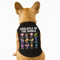Axolotls Of The World Kawaii Types Of Axolotl Fish Doggie Tank