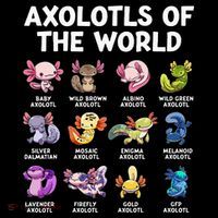 Axolotls Of The World Kawaii Types Of Axolotl Fish High Crown Mesh Back Trucker Hat