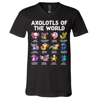 Axolotls Of The World Kawaii Types Of Axolotl Fish V-Neck T-Shirt