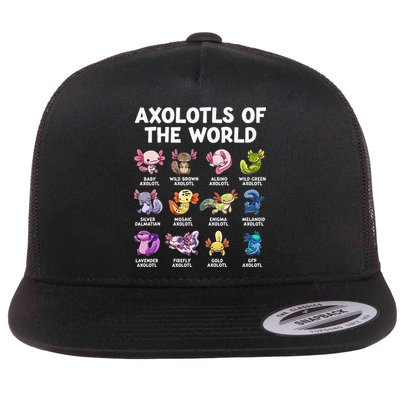 Axolotls Of The World Kawaii Types Of Axolotl Fish Flatbill Hat