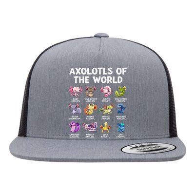 Axolotls Of The World Kawaii Types Of Axolotl Fish Flat Bill Trucker Hat