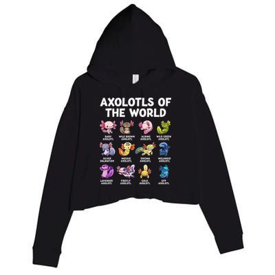 Axolotls Of The World Kawaii Types Of Axolotl Fish Crop Fleece Hoodie