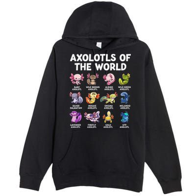 Axolotls Of The World Kawaii Types Of Axolotl Fish Premium Pullover Hoodie