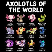 Axolotls Of The World Kawaii Types Of Axolotl Fish Mousepad