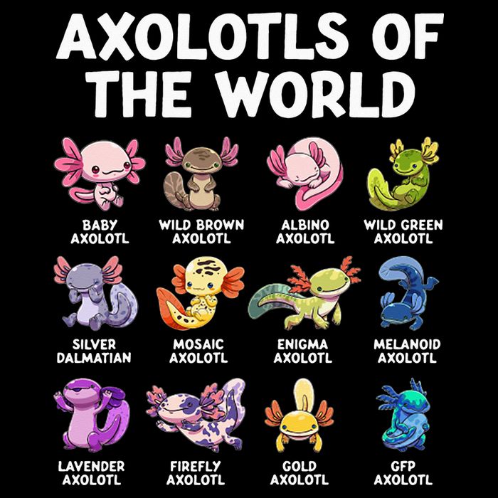 Axolotls Of The World Kawaii Types Of Axolotl Fish Mousepad